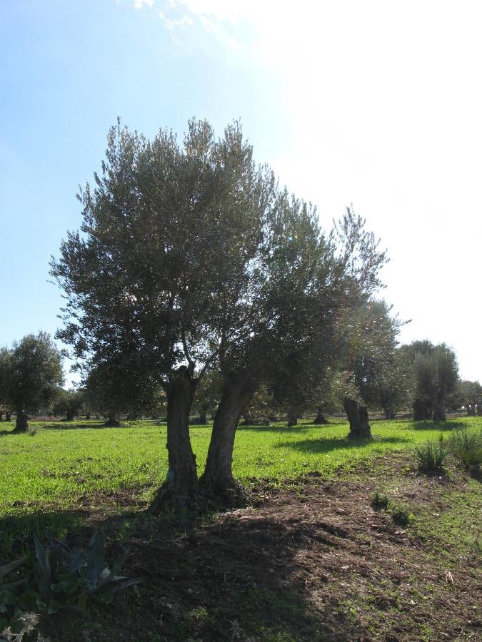 Auberge Dardara Derdara Εξωτερικό φωτογραφία