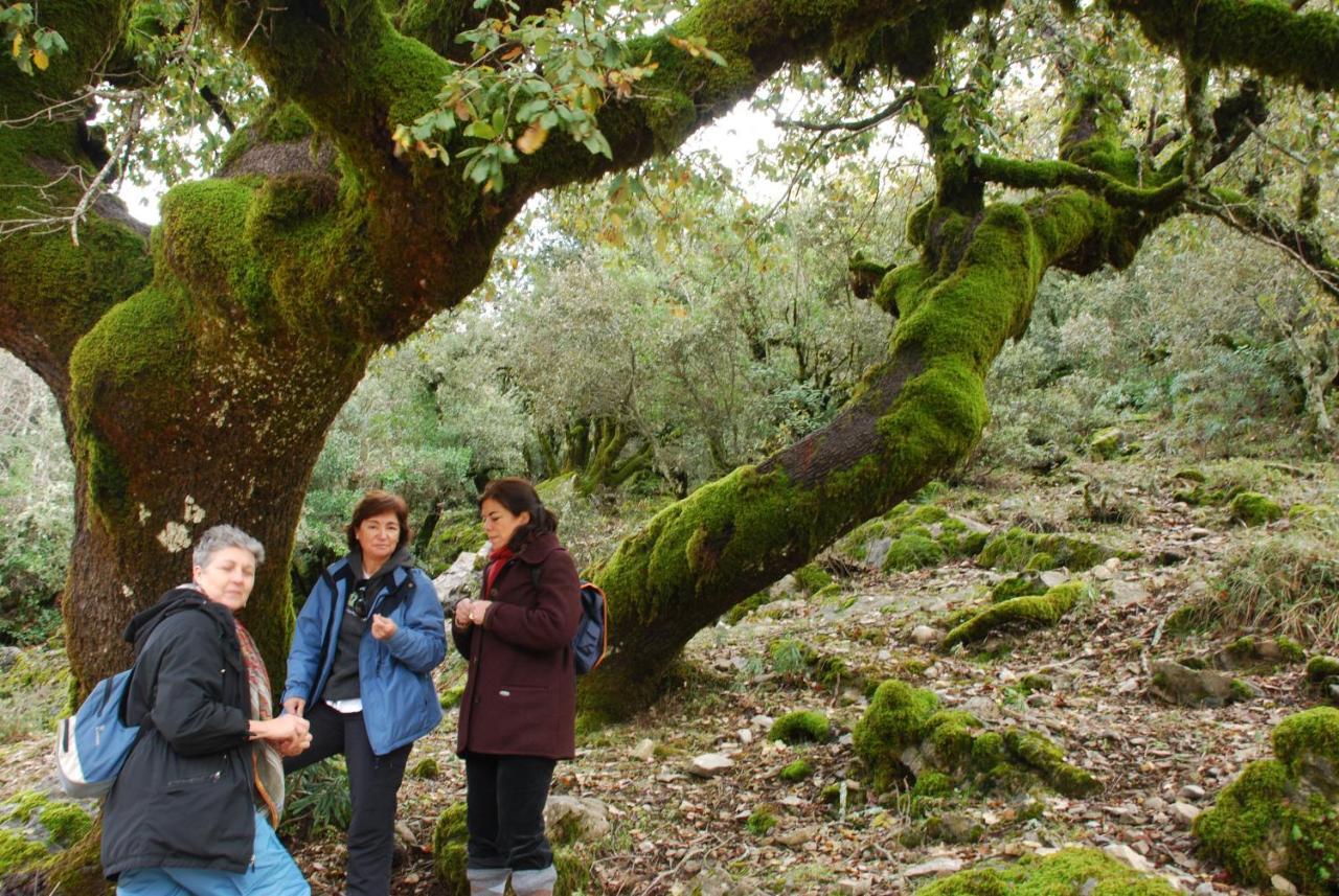 Auberge Dardara Derdara Εξωτερικό φωτογραφία