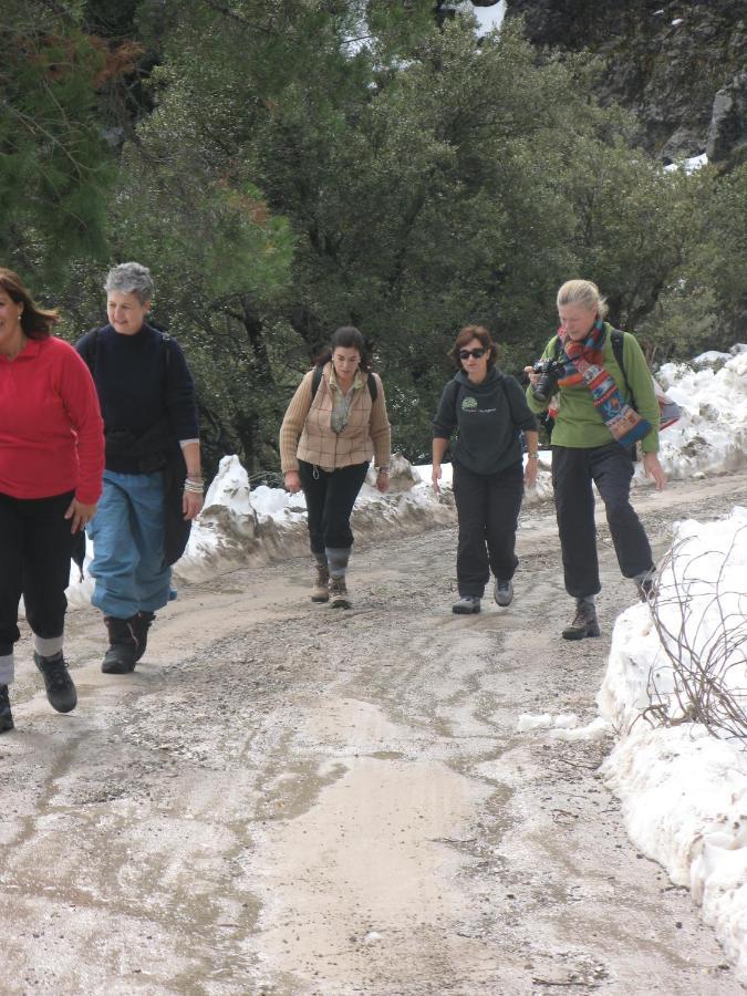 Auberge Dardara Derdara Εξωτερικό φωτογραφία