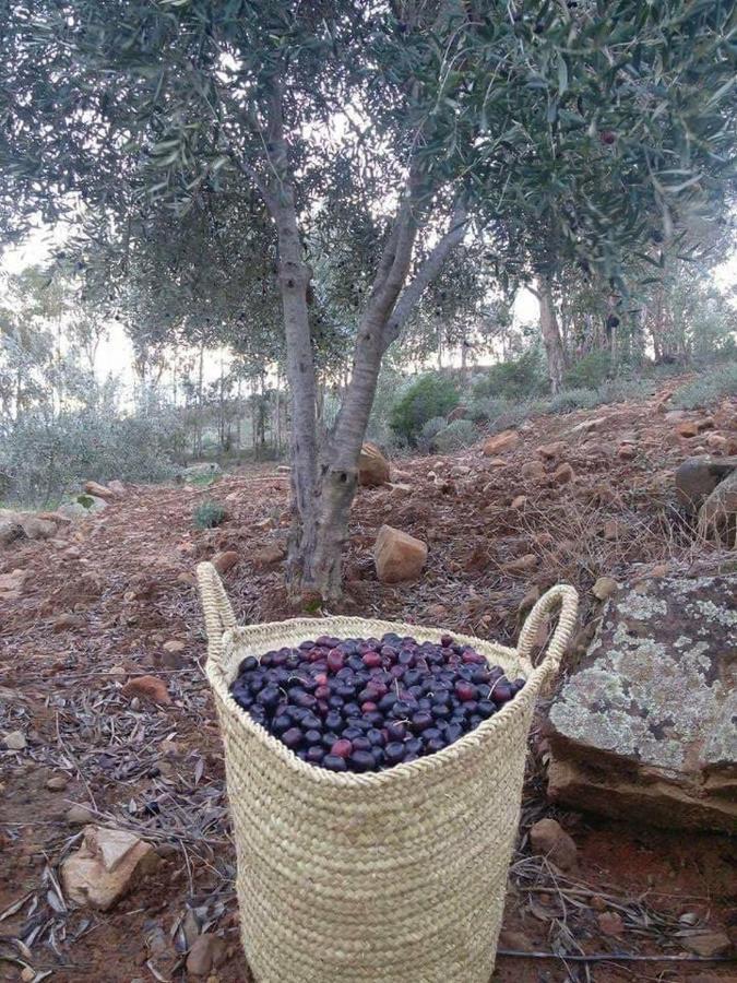 Auberge Dardara Derdara Εξωτερικό φωτογραφία