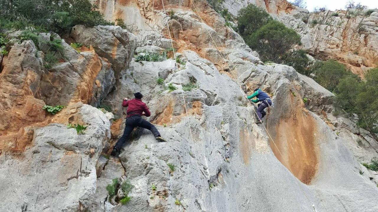 Auberge Dardara Derdara Εξωτερικό φωτογραφία